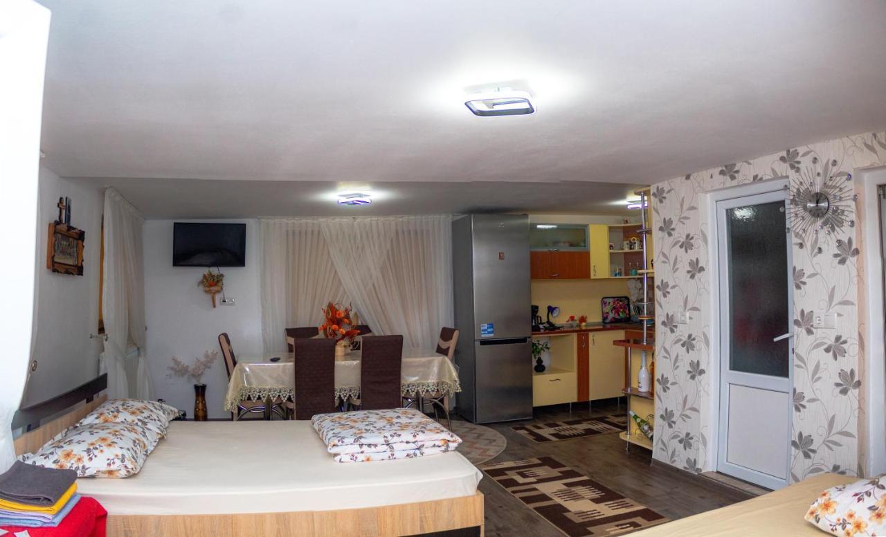 Pensiunea Casa Ioana Sugag Ngoại thất bức ảnh
