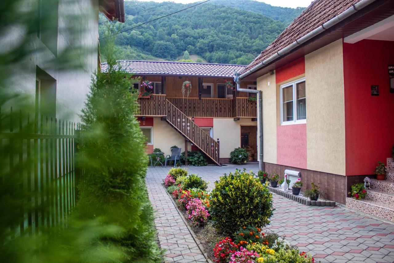 Pensiunea Casa Ioana Sugag Ngoại thất bức ảnh