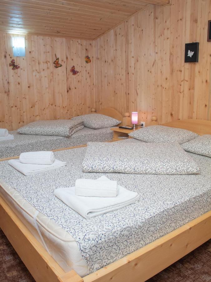 Pensiunea Casa Ioana Sugag Ngoại thất bức ảnh