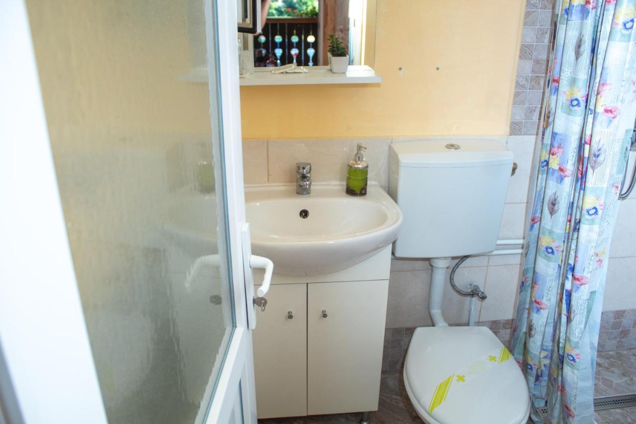 Pensiunea Casa Ioana Sugag Ngoại thất bức ảnh
