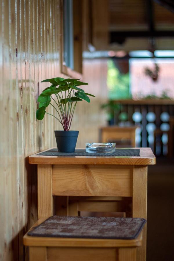 Pensiunea Casa Ioana Sugag Ngoại thất bức ảnh