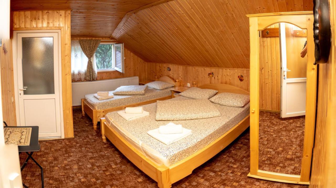Pensiunea Casa Ioana Sugag Ngoại thất bức ảnh