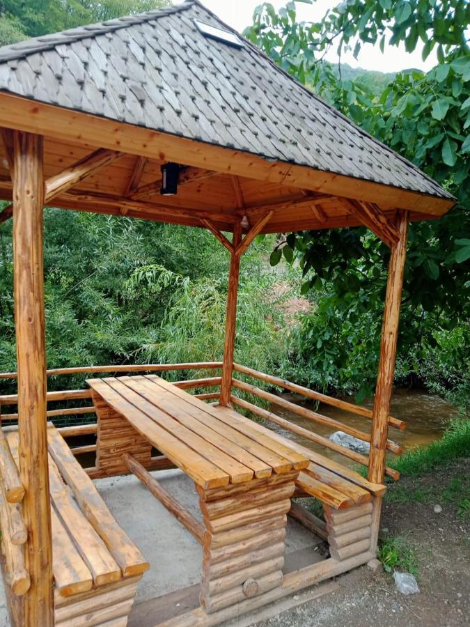 Pensiunea Casa Ioana Sugag Ngoại thất bức ảnh