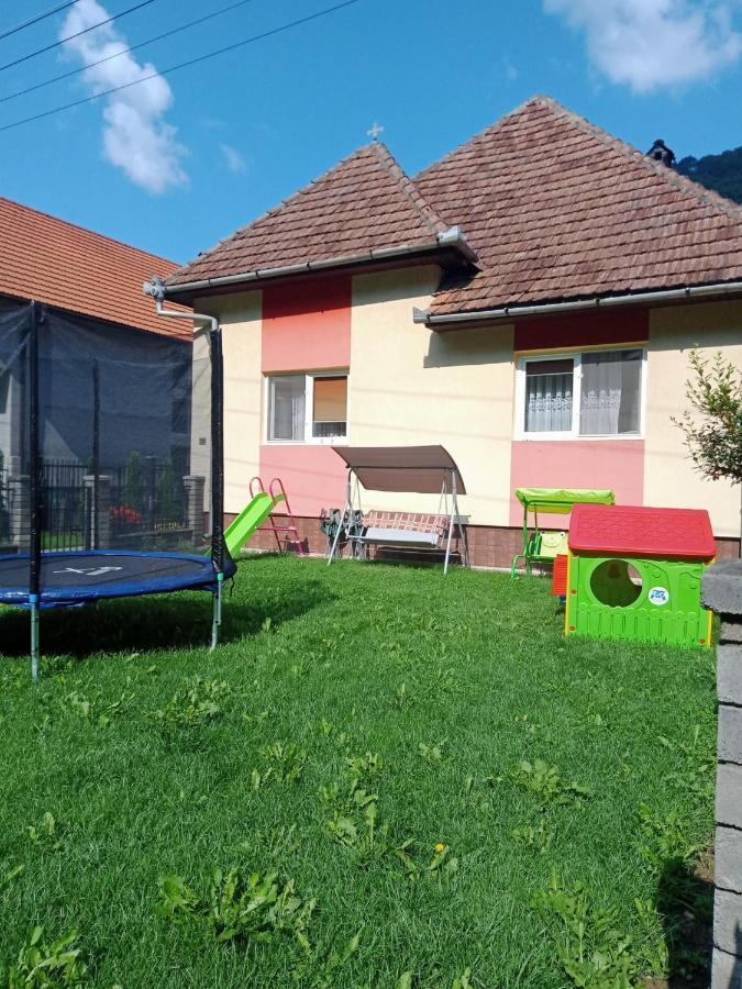 Pensiunea Casa Ioana Sugag Ngoại thất bức ảnh