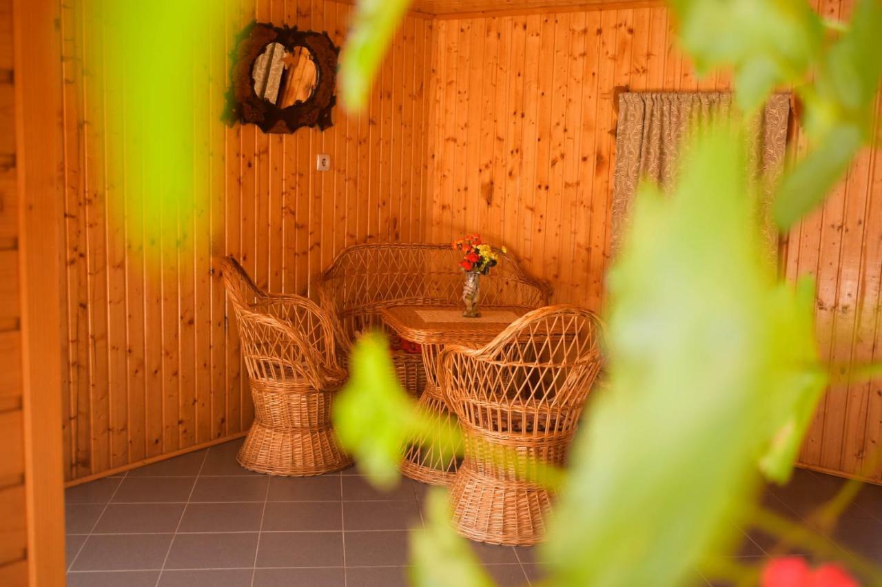 Pensiunea Casa Ioana Sugag Ngoại thất bức ảnh