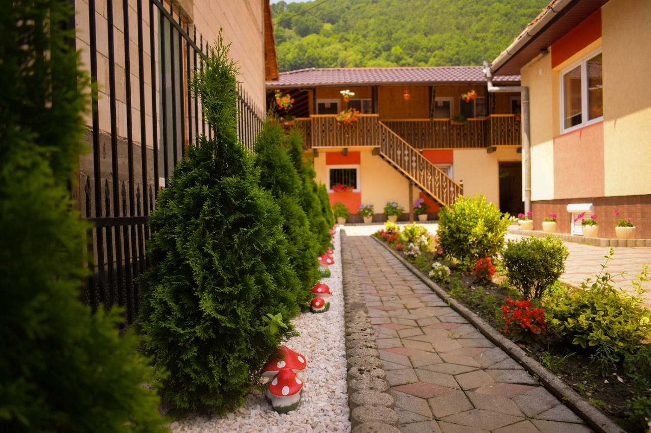 Pensiunea Casa Ioana Sugag Ngoại thất bức ảnh