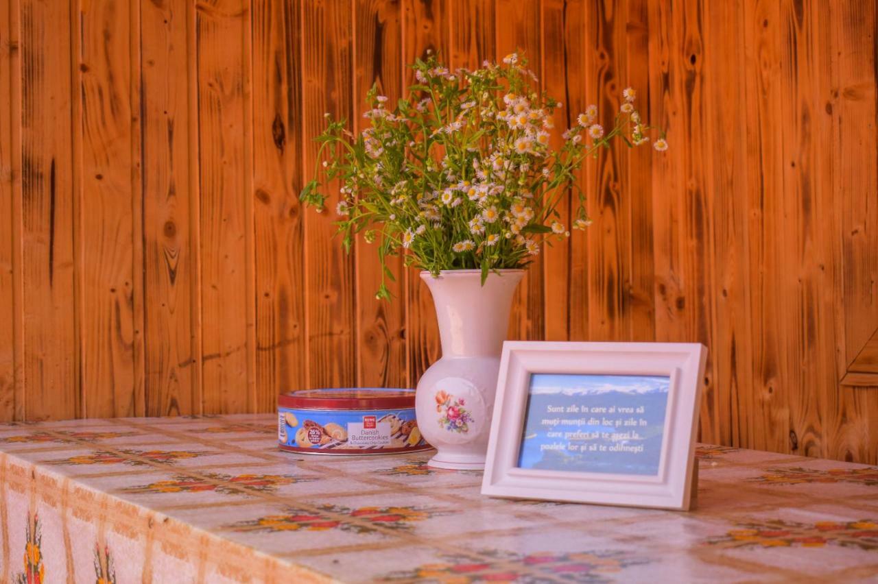Pensiunea Casa Ioana Sugag Ngoại thất bức ảnh