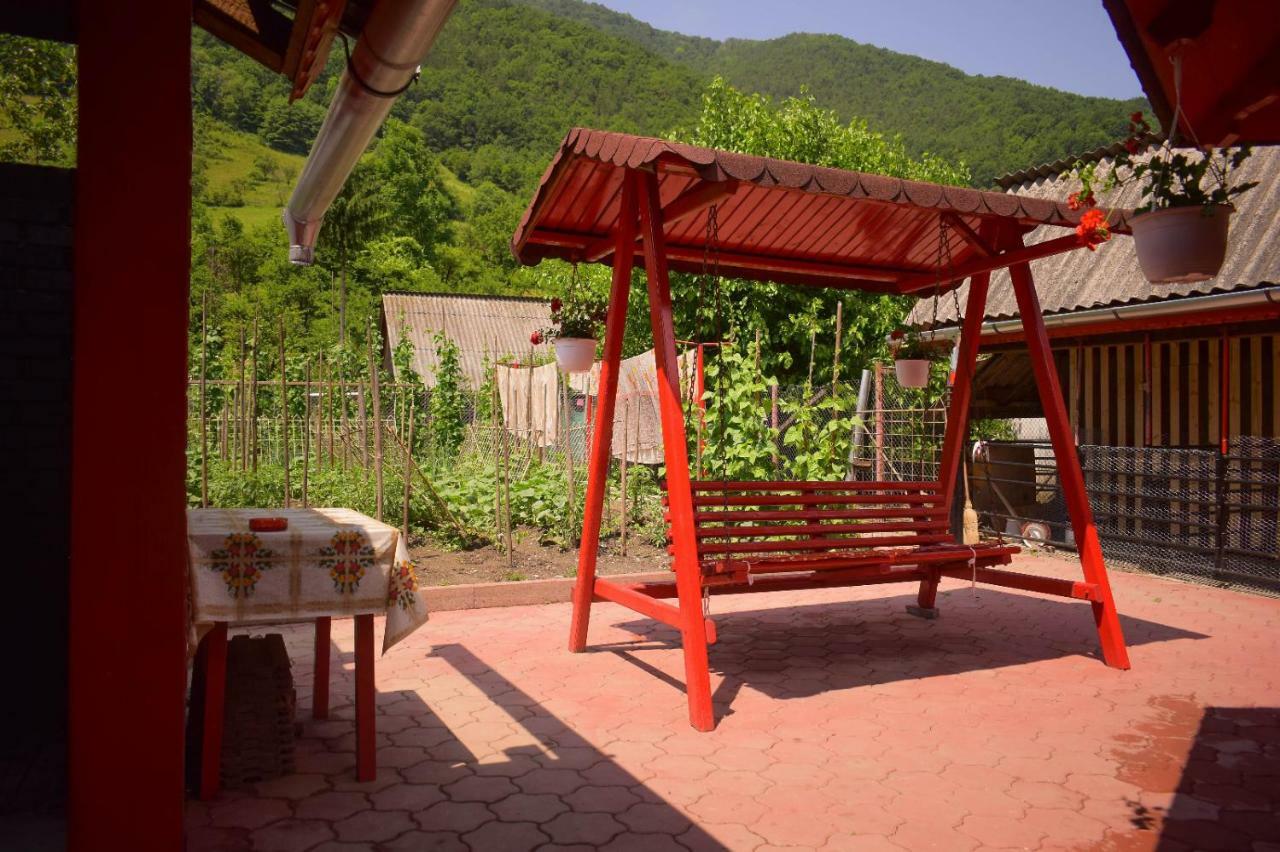 Pensiunea Casa Ioana Sugag Ngoại thất bức ảnh