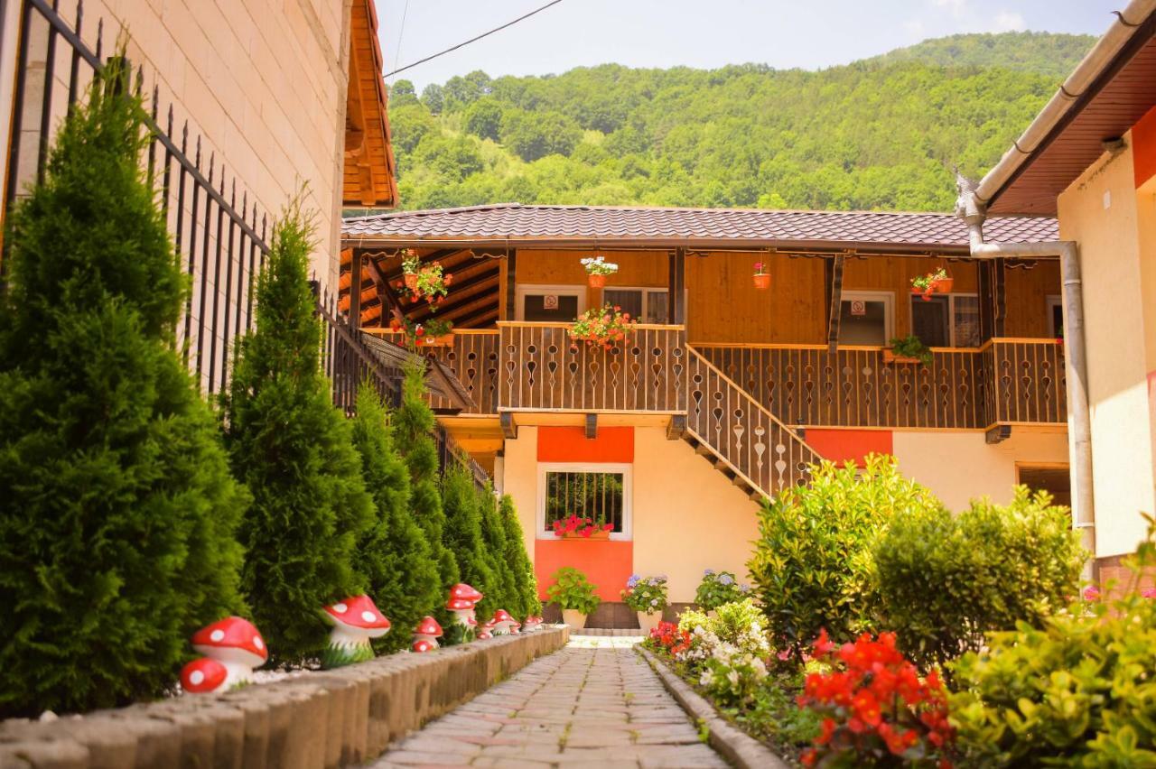 Pensiunea Casa Ioana Sugag Ngoại thất bức ảnh