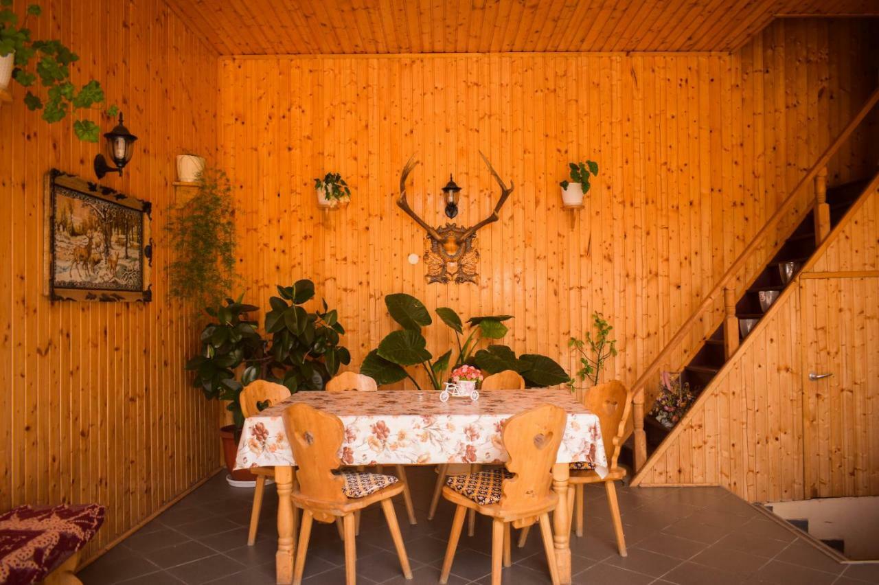 Pensiunea Casa Ioana Sugag Ngoại thất bức ảnh