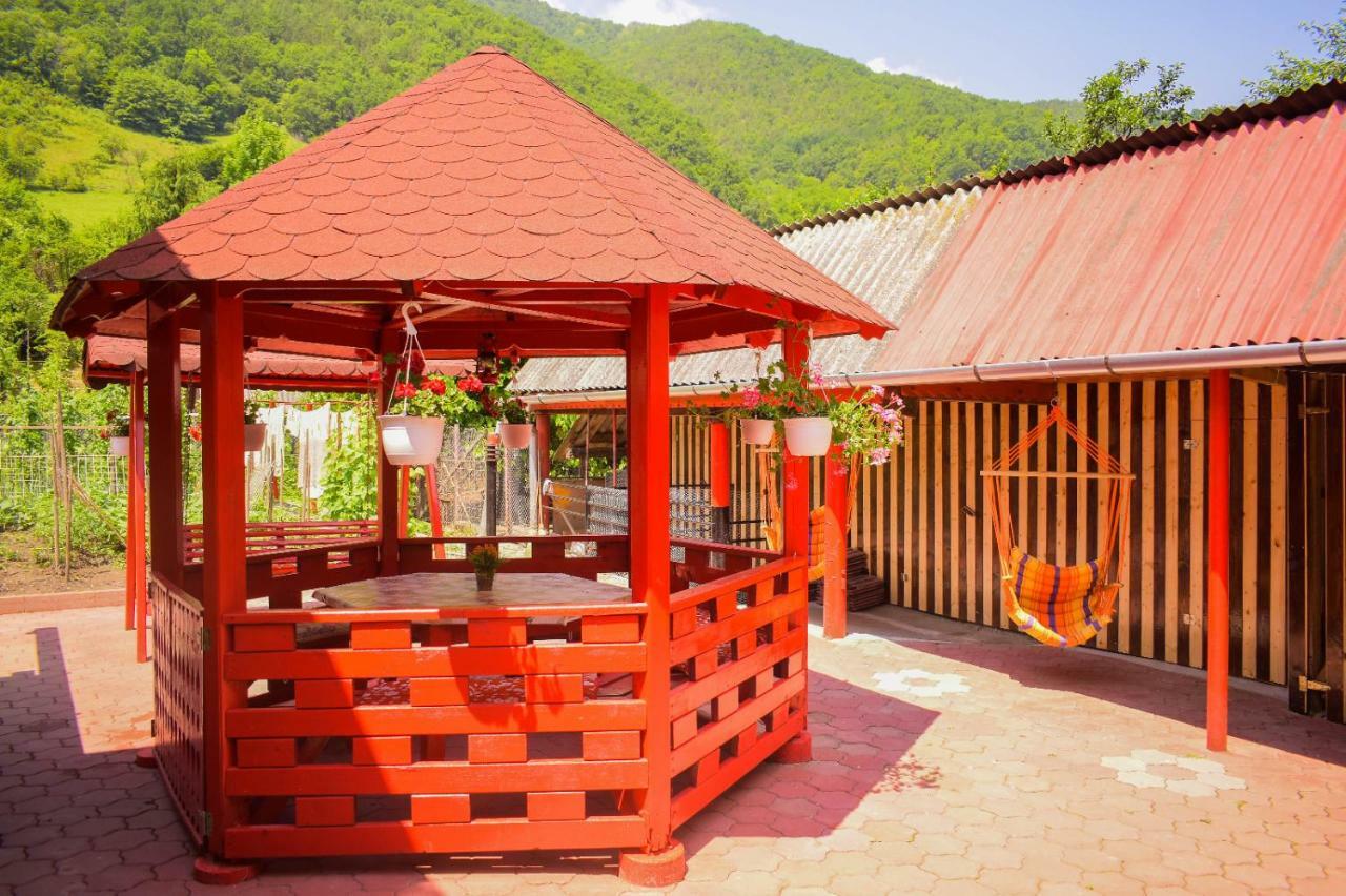 Pensiunea Casa Ioana Sugag Ngoại thất bức ảnh
