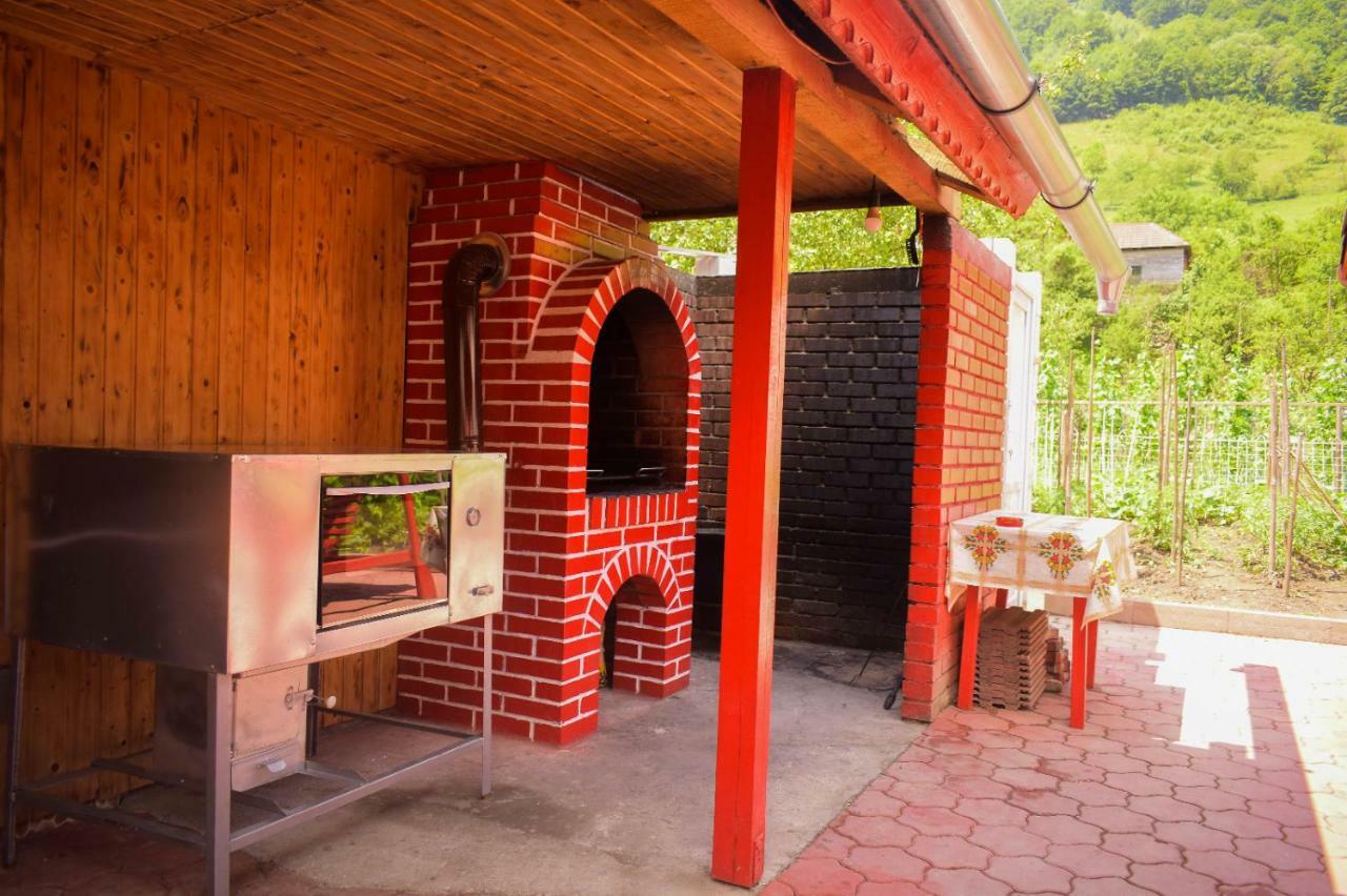 Pensiunea Casa Ioana Sugag Ngoại thất bức ảnh