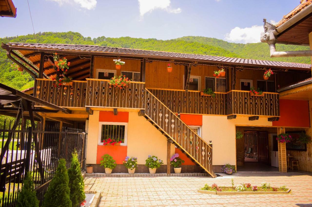 Pensiunea Casa Ioana Sugag Ngoại thất bức ảnh