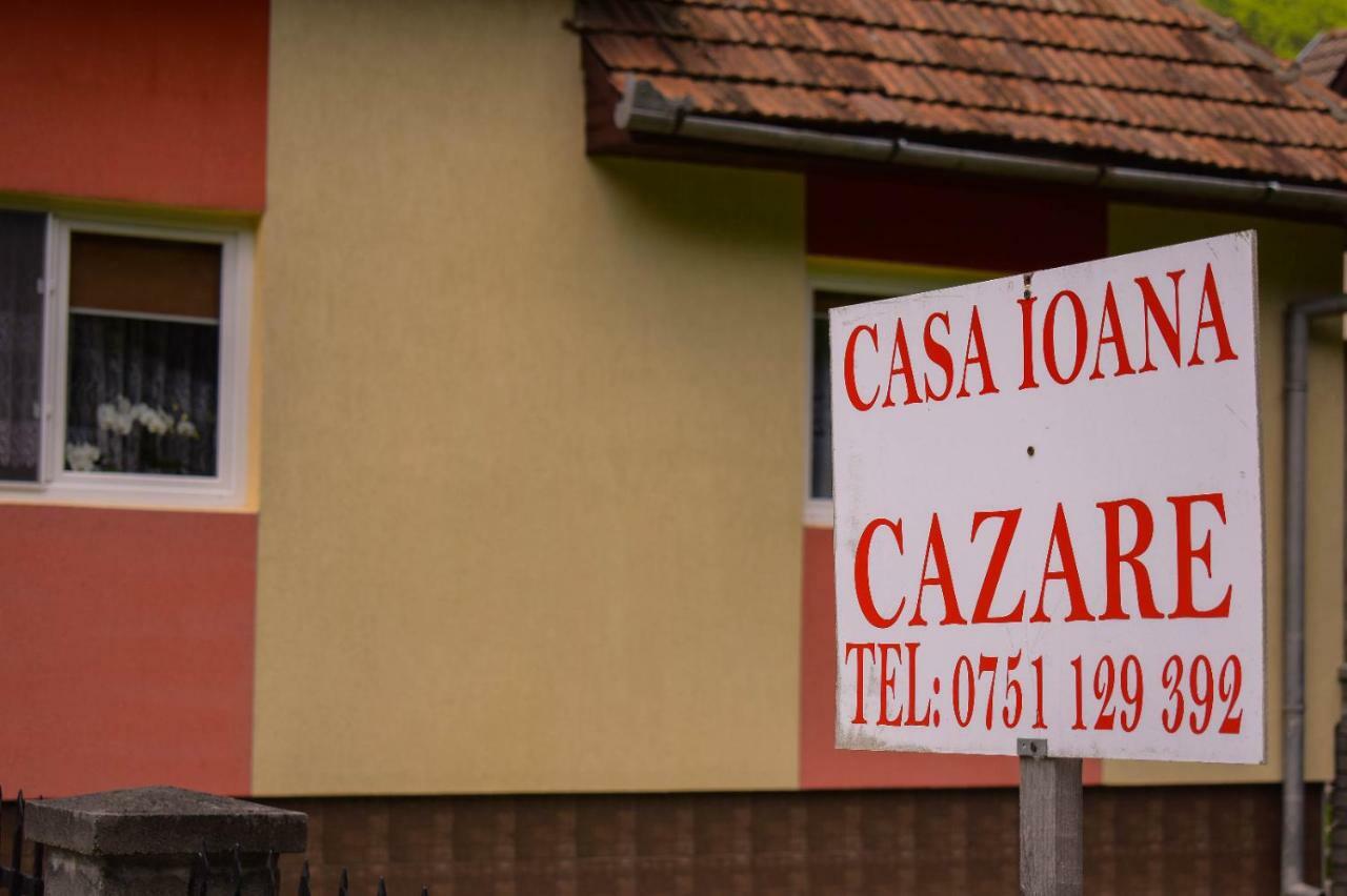 Pensiunea Casa Ioana Sugag Ngoại thất bức ảnh